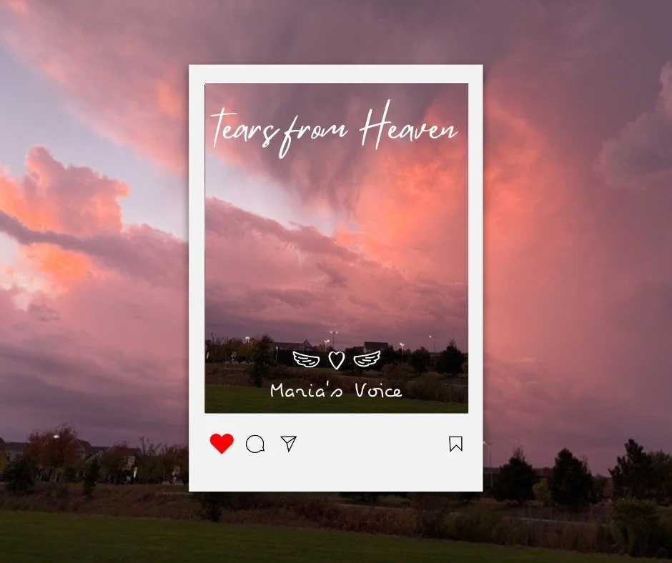 Tears From Heaven π
 
Chaska Lion Andy captured this breathtaking photo just after the vigil—a stormy pink and purple sunset that filled the sky. Moments before, we stood together in stillness. And then, as if the heavens wept with us, the ski