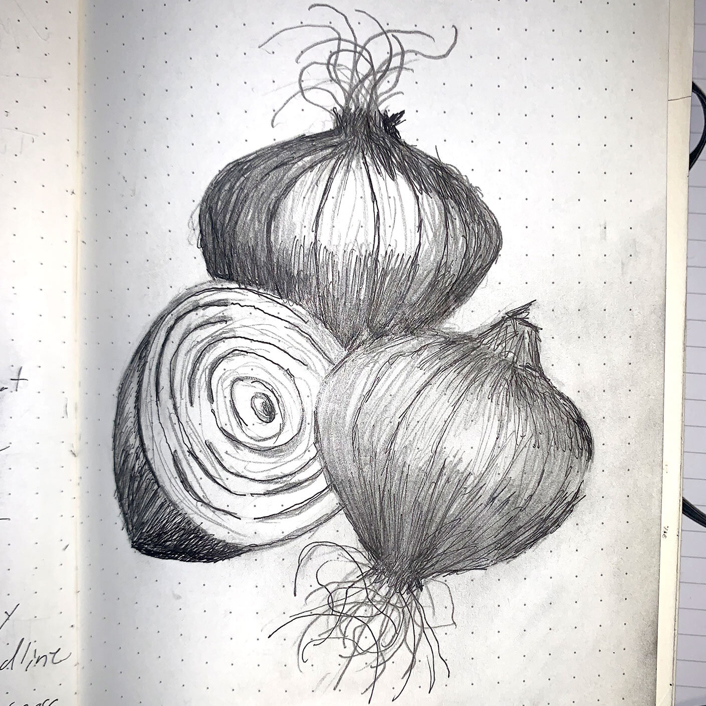 201102-Heron-Rock-Bistro-Onion-Sketch.jpg