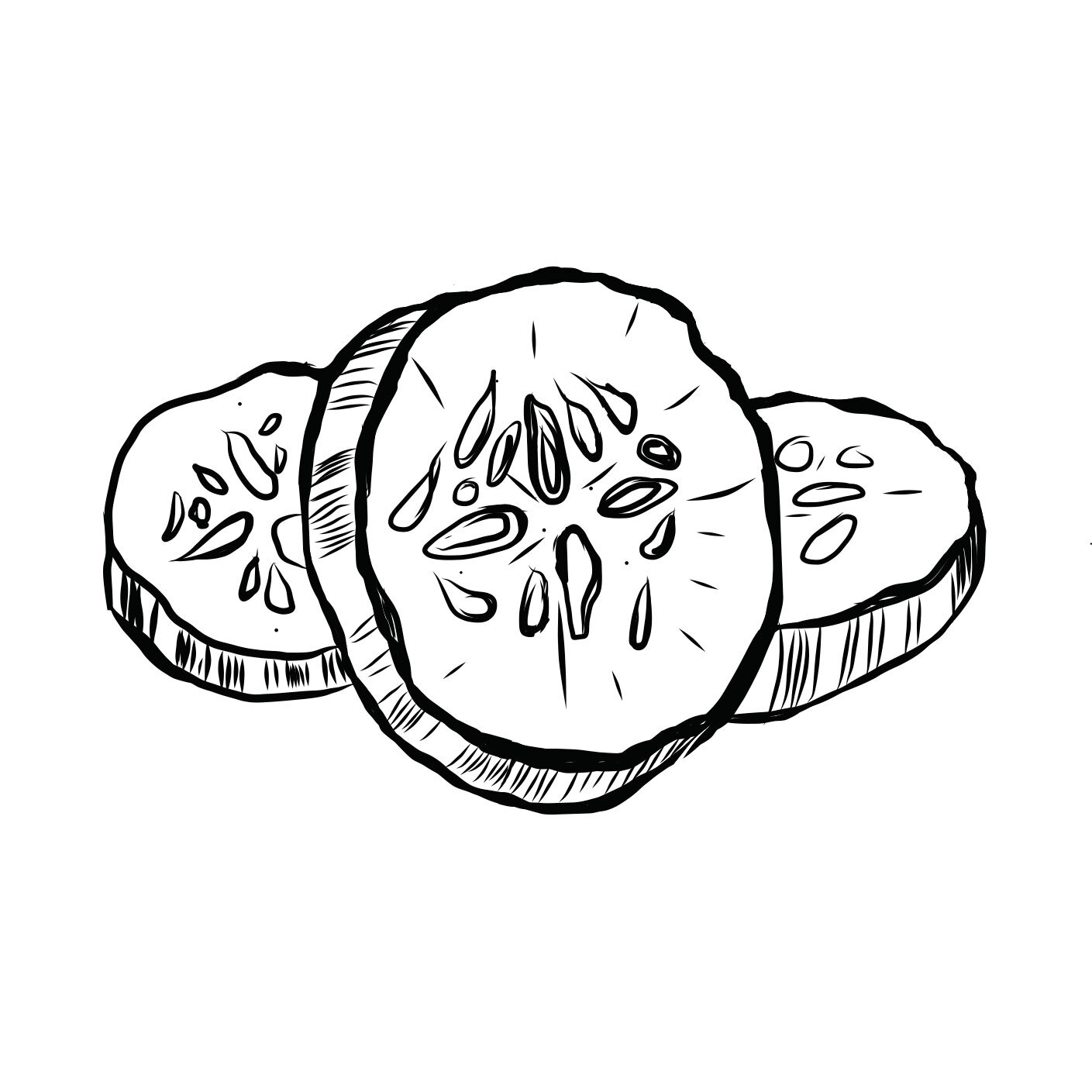 201102-Heron-Rock-Bistro-pickles-Final-drawing.jpg
