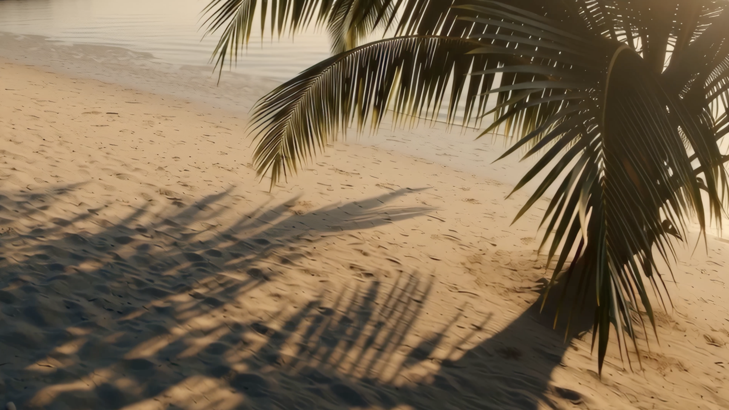 Sunlit beach with large palm tree and its shadow on the sandy shore.