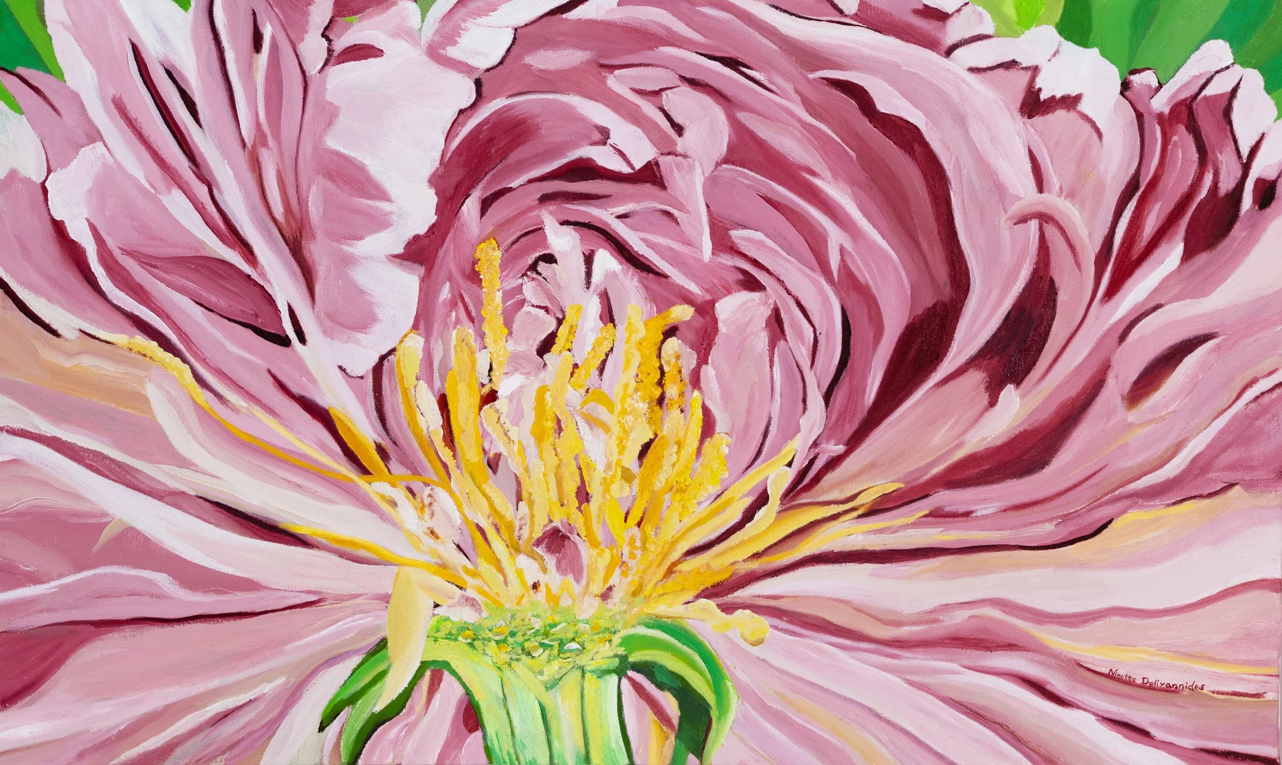 A painting of a pink flower with yellow stamens, green leaves, and pink petals with white accents.