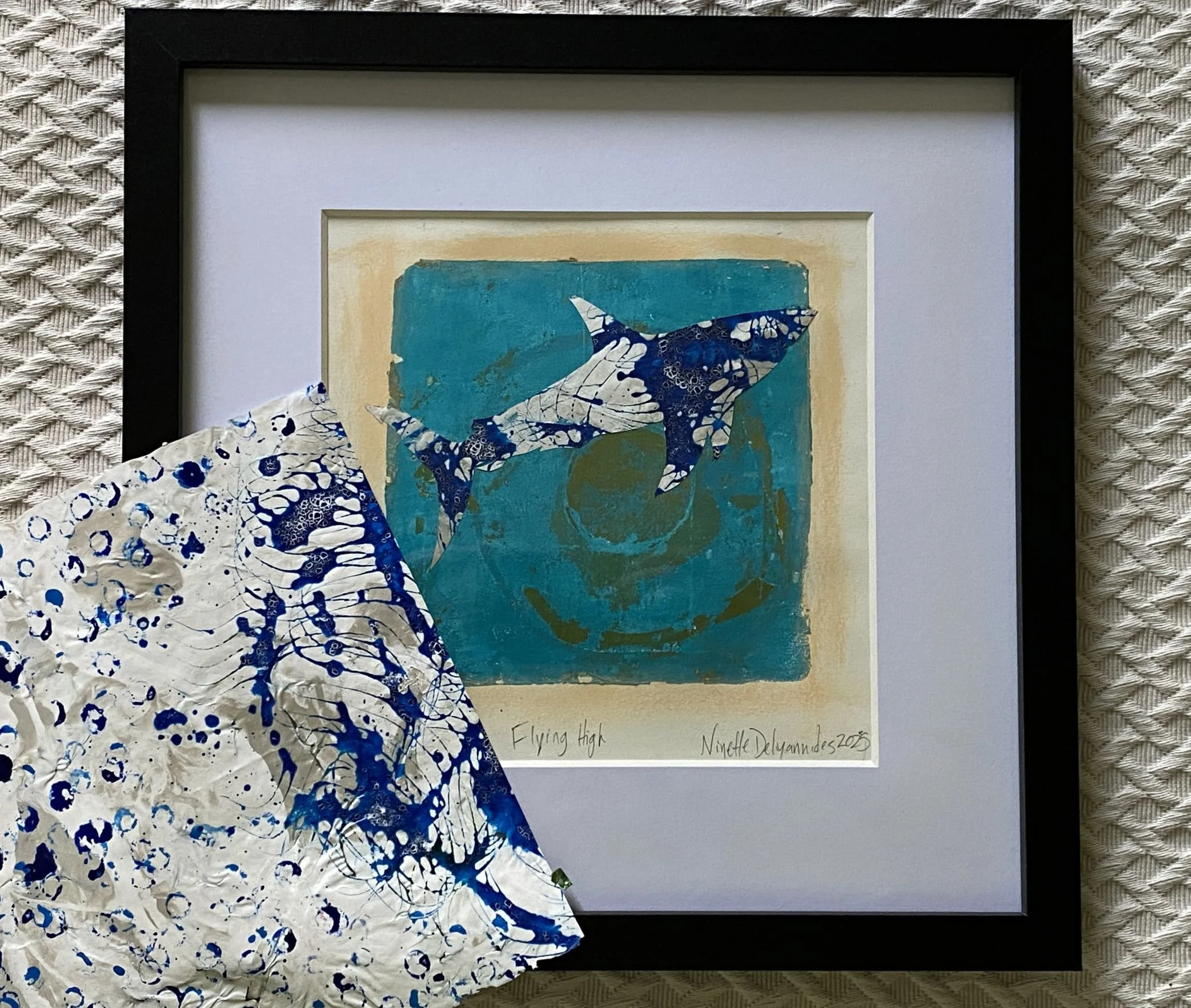ND_20260902_Flying High shark.view.JPG