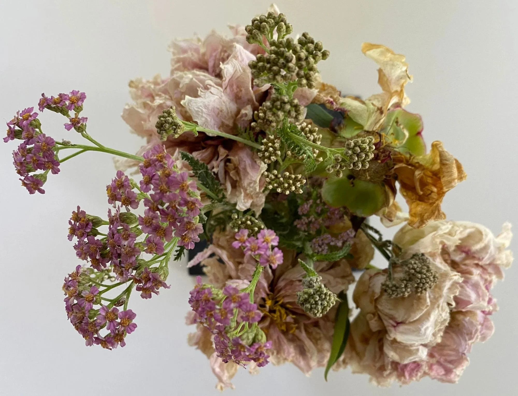 A bouquet of dried pink and yellow flowers with green leaves, against a plain light background.