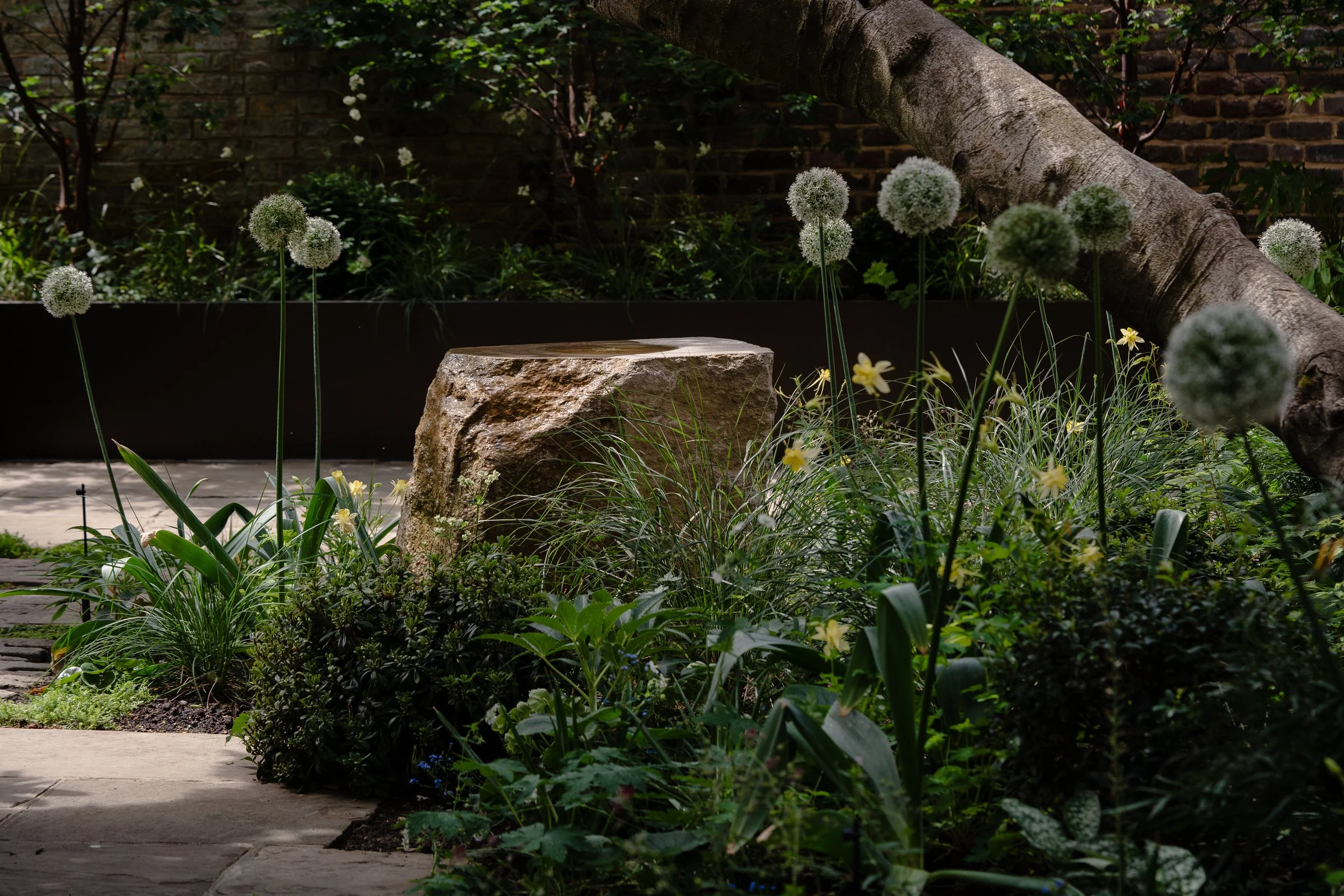 Garden Design, West London