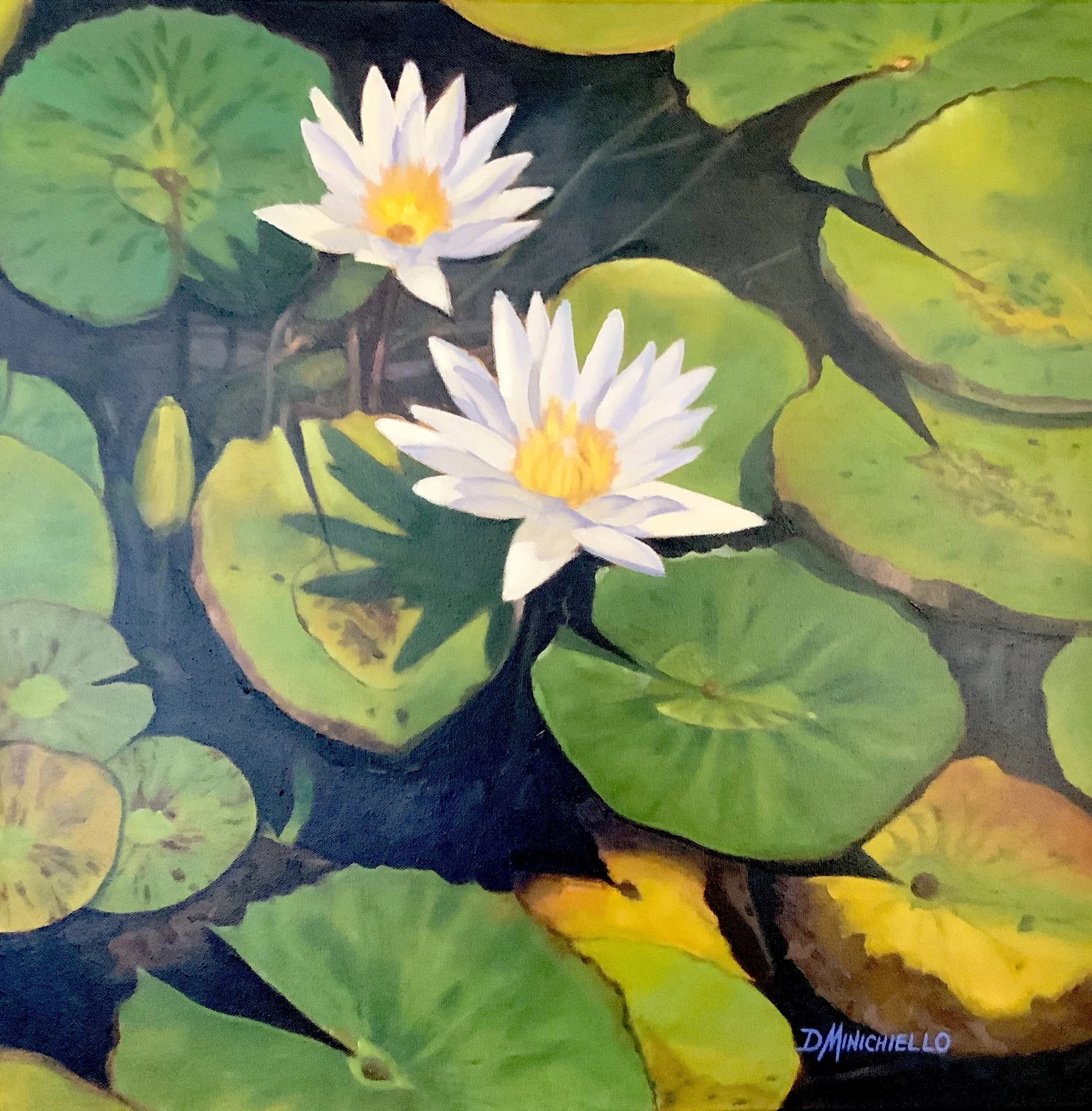 Water Lillies at Huntington Gardens_24%22x24%22_Oil on Canvas_$2800.jpg
