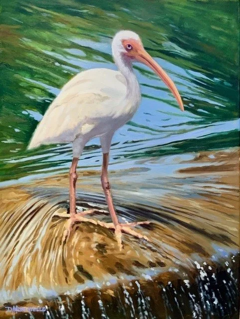 DMinichiello_Keeping Cool_24%22x18%22_Oil on canvas copy.jpeg