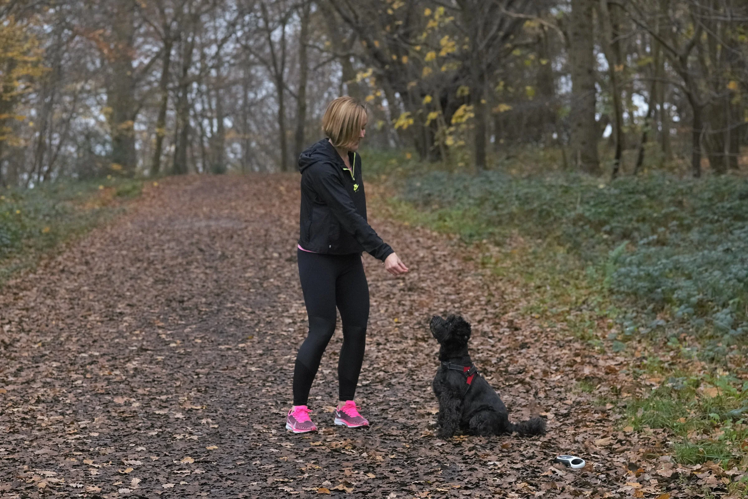 Beyond the Gym: Why Movement and Nutrition Must Work Together After 40