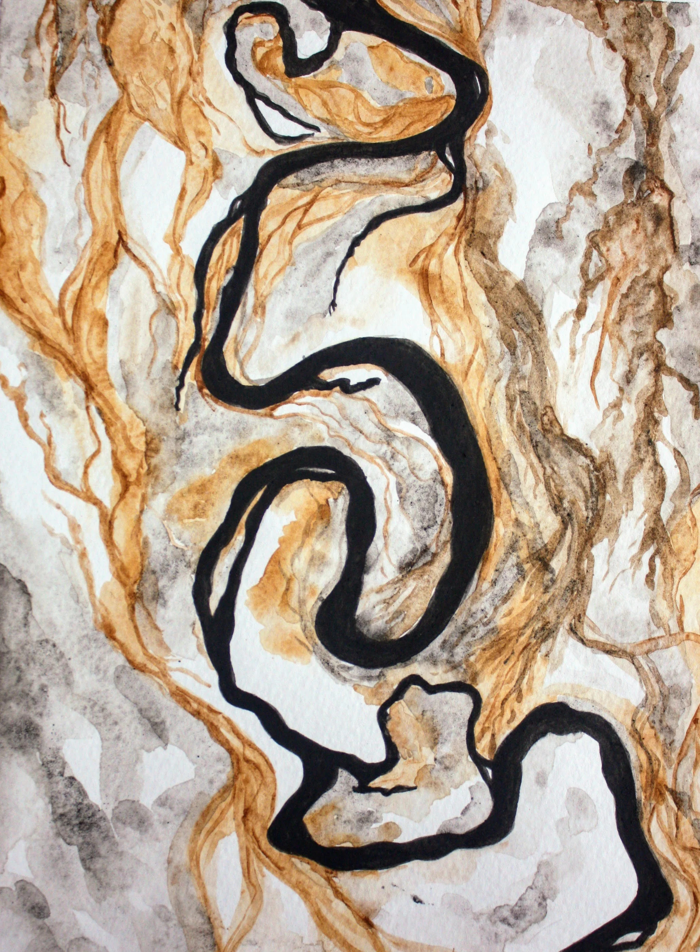   The degree of meander is measured by sinuosity ; earth-based watercolour on paper; 2020 