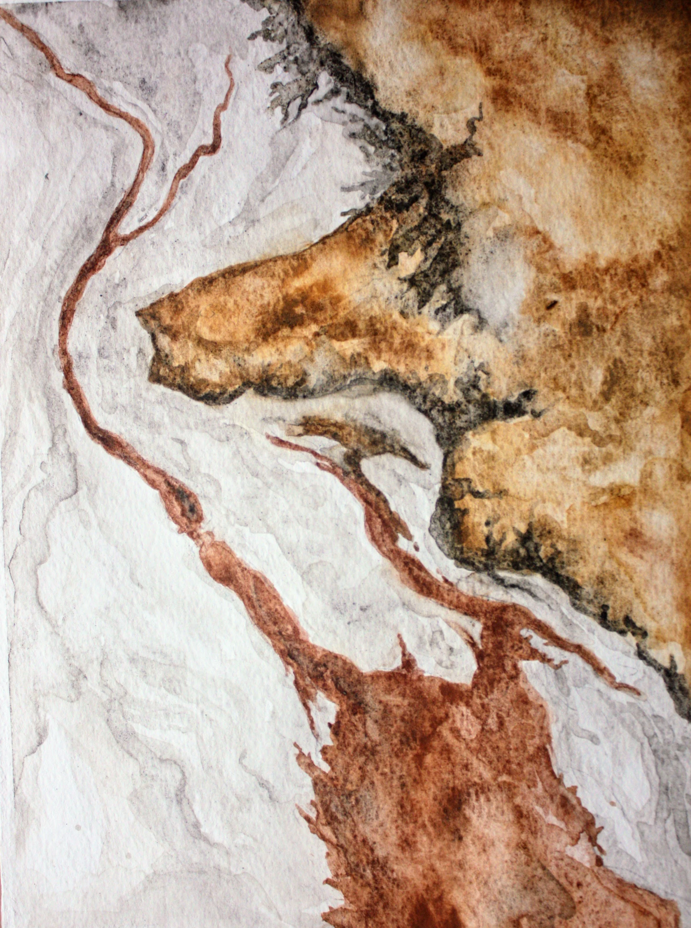  Salt Pan—deposition in the wound ; earth based watercolour on paper; 2021 