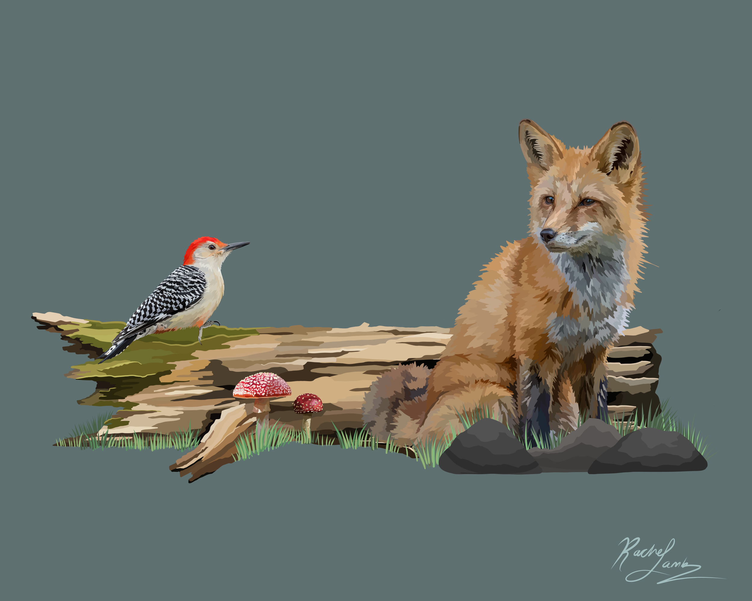 8x10 woodland.png