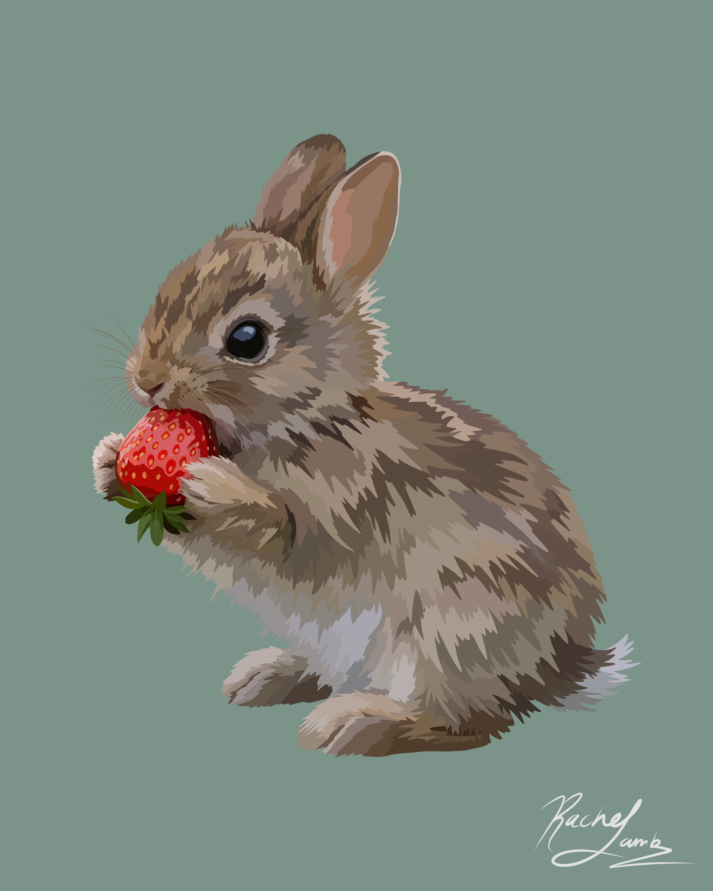8x10 rabbit.png