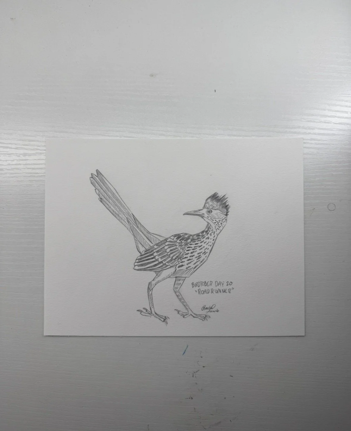 roadrunner.jpg