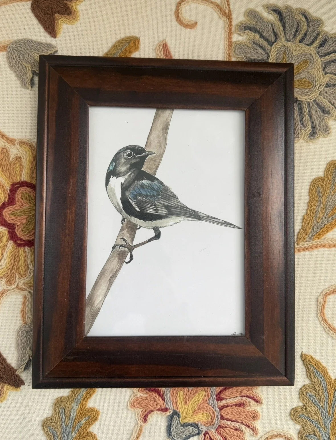 Framed Black Throated Blue Warbler