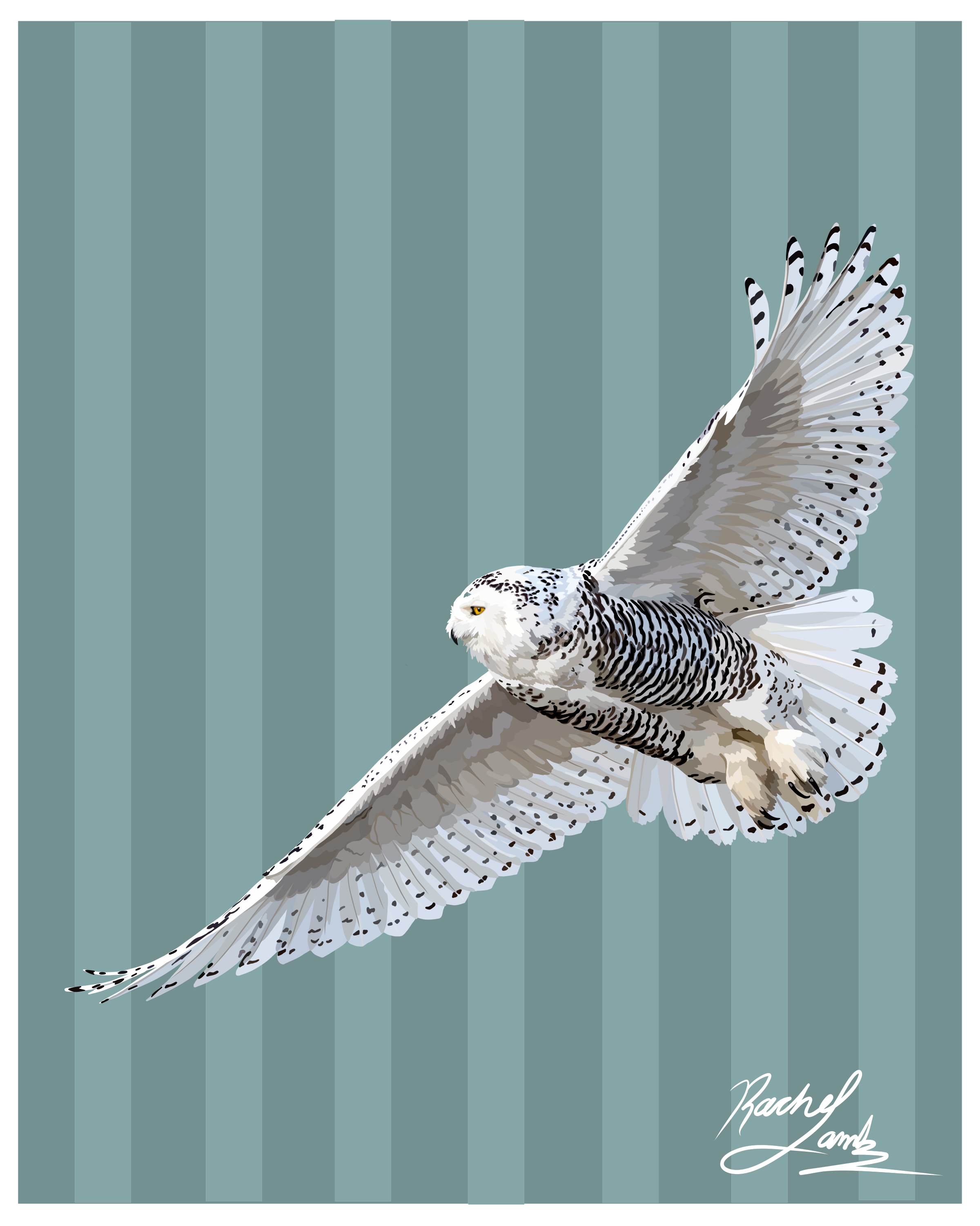 8x10 snowy.png