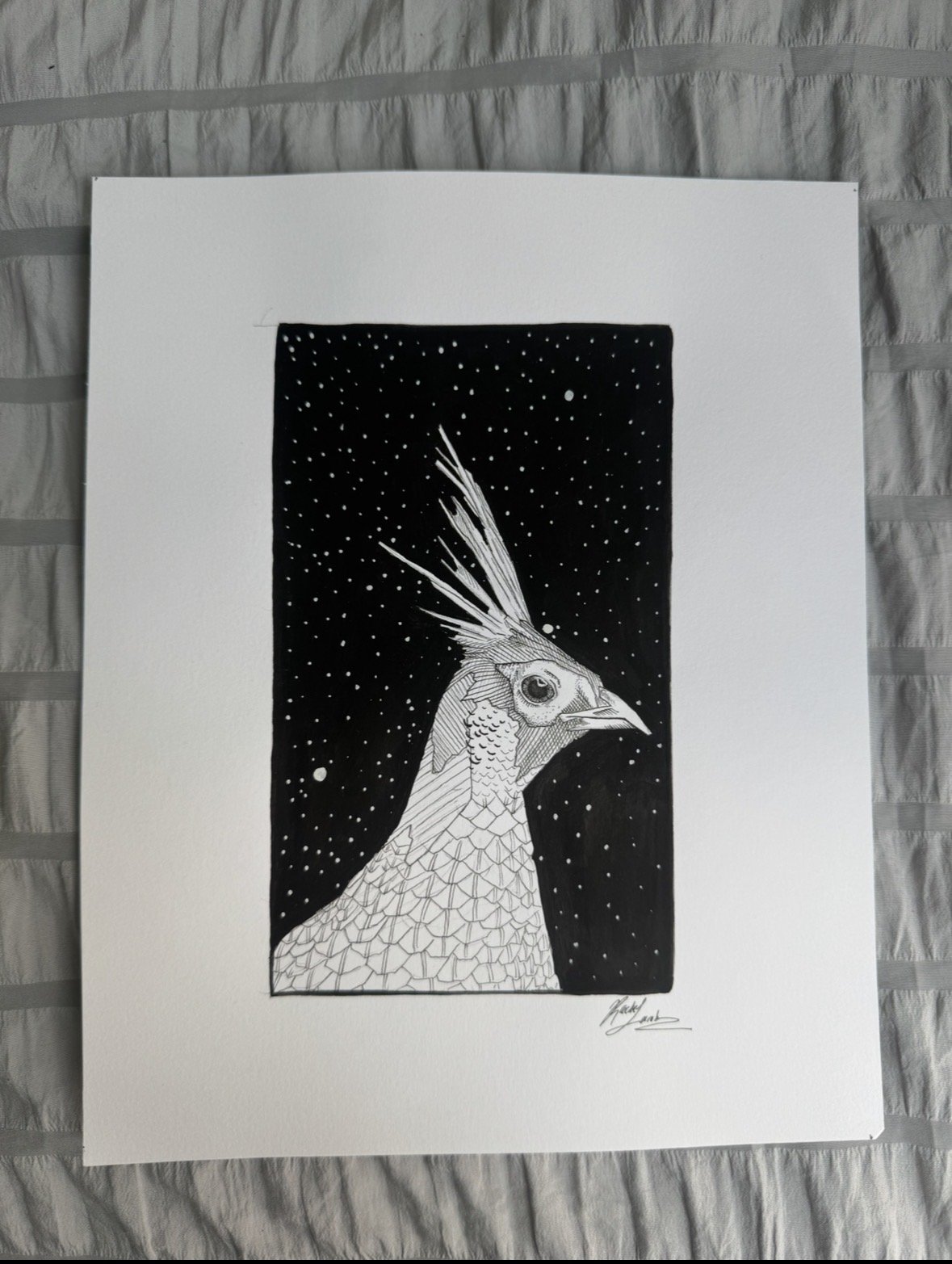 Kajil Pheasant.jpg
