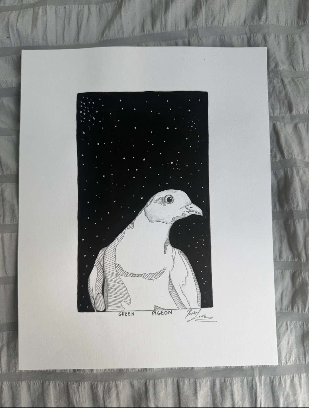Green Pigeon.jpg