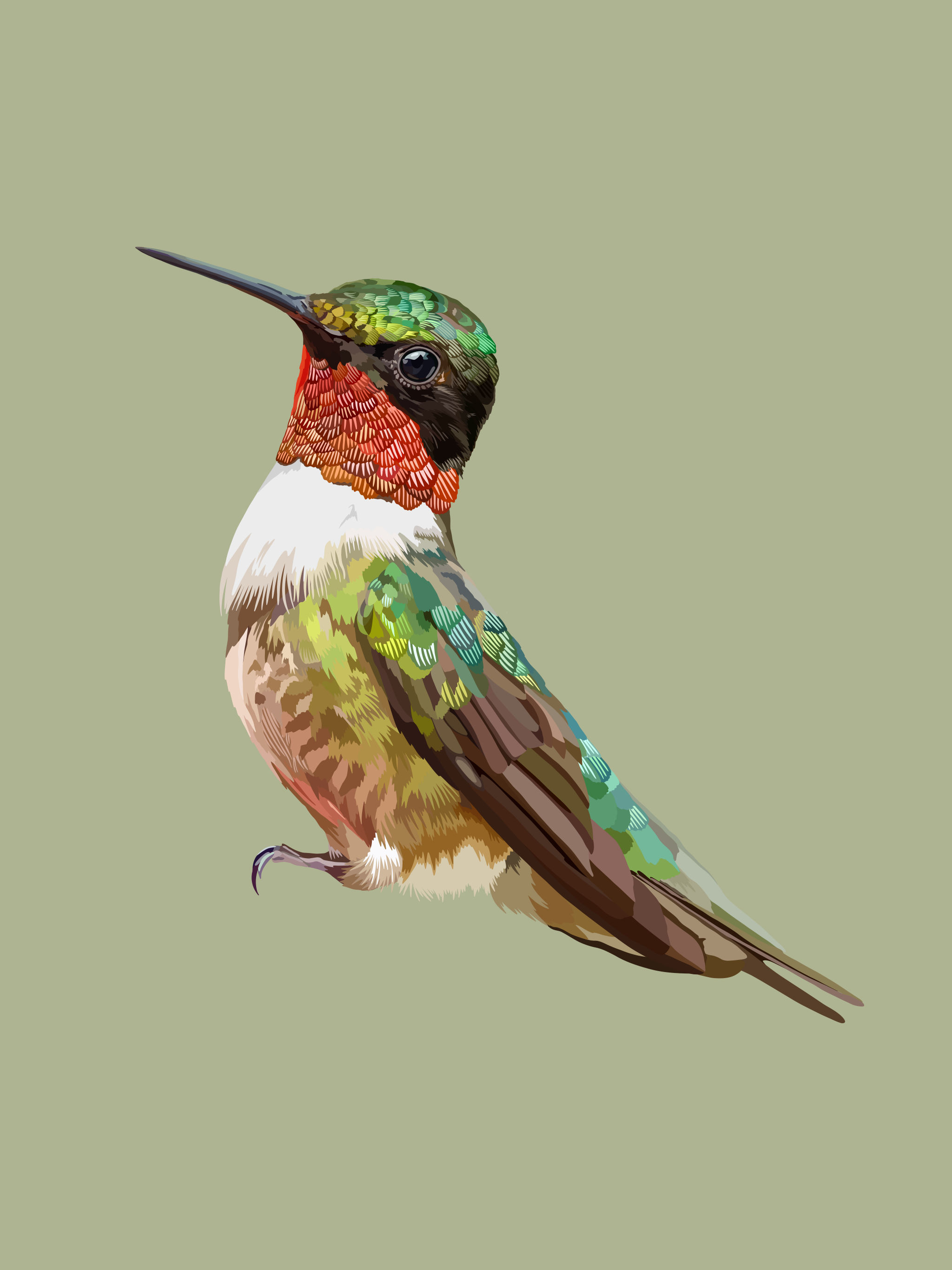 Hummingbird print.png