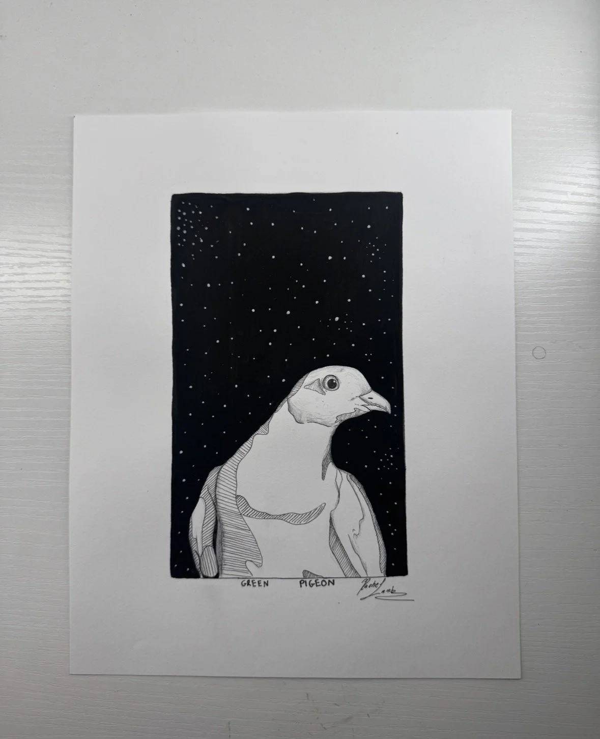 Green Pigeon