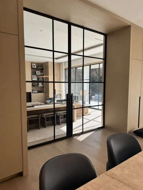 A-Steel framed glass panel door pic 2.jpeg