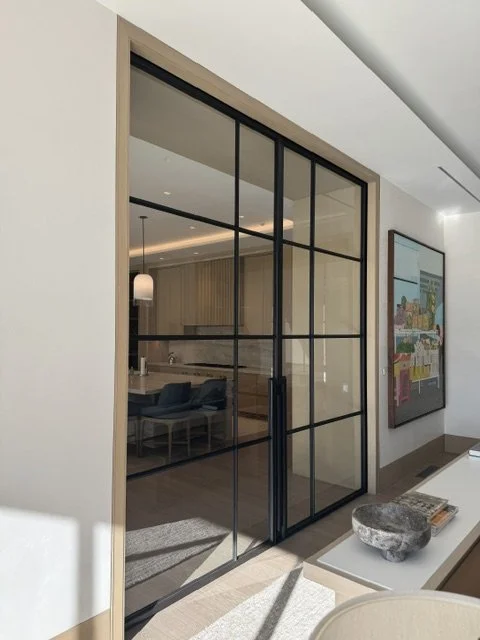 A-Steel framed glass panel door.jpeg