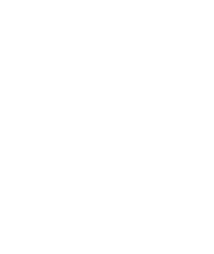 Vox Burger Bray