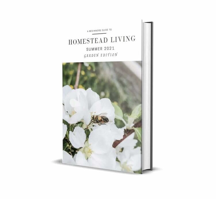 Homestead EBook Summer 2021.jpg