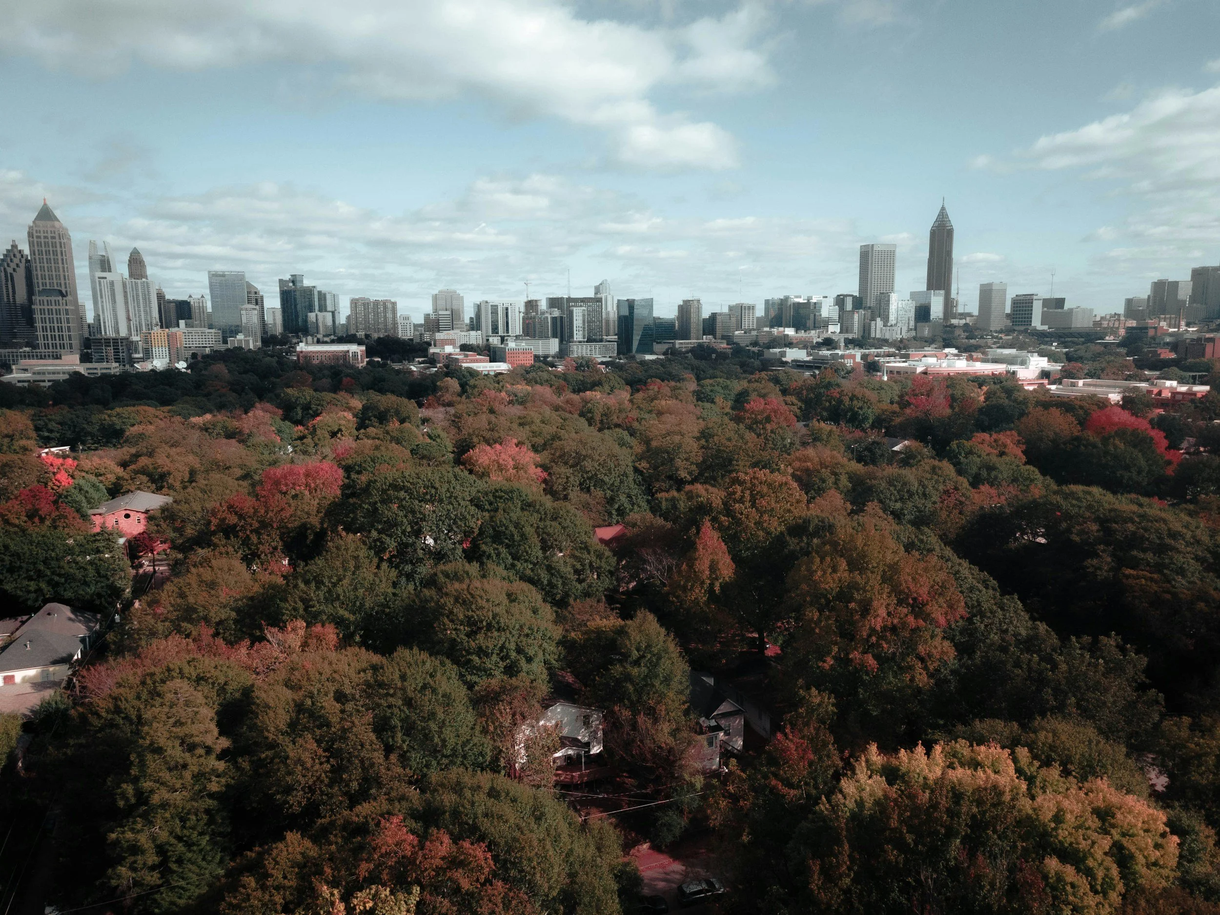 Atlanta Georgia skyline viewed from park with city and trees