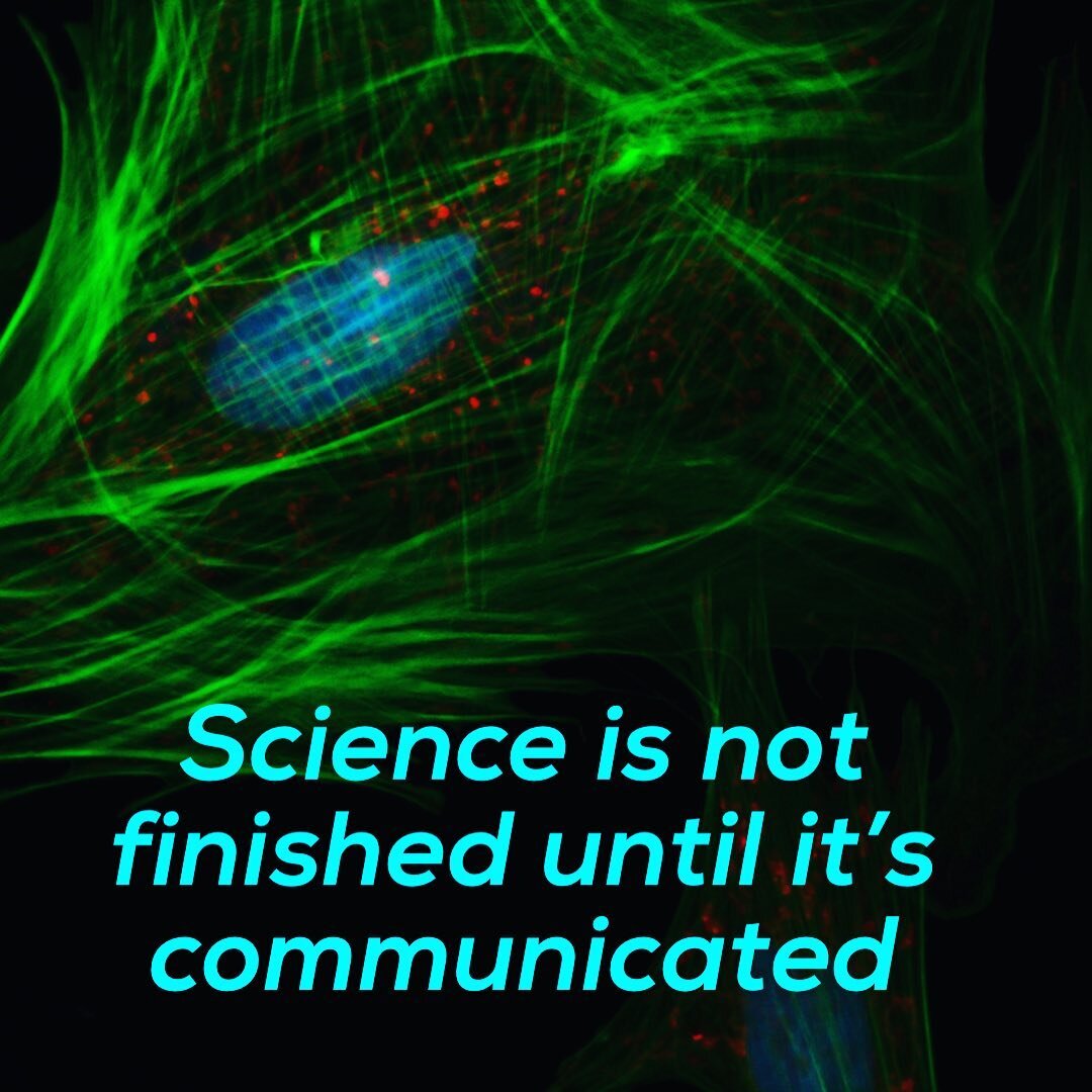 I believe the most important aspect of my job is as a science communicator.
As I teach, I use the language of anatomy, physiology, and biokinetics to describe healthy movement to my students.
When a client comes to me for post rehab work I always exp