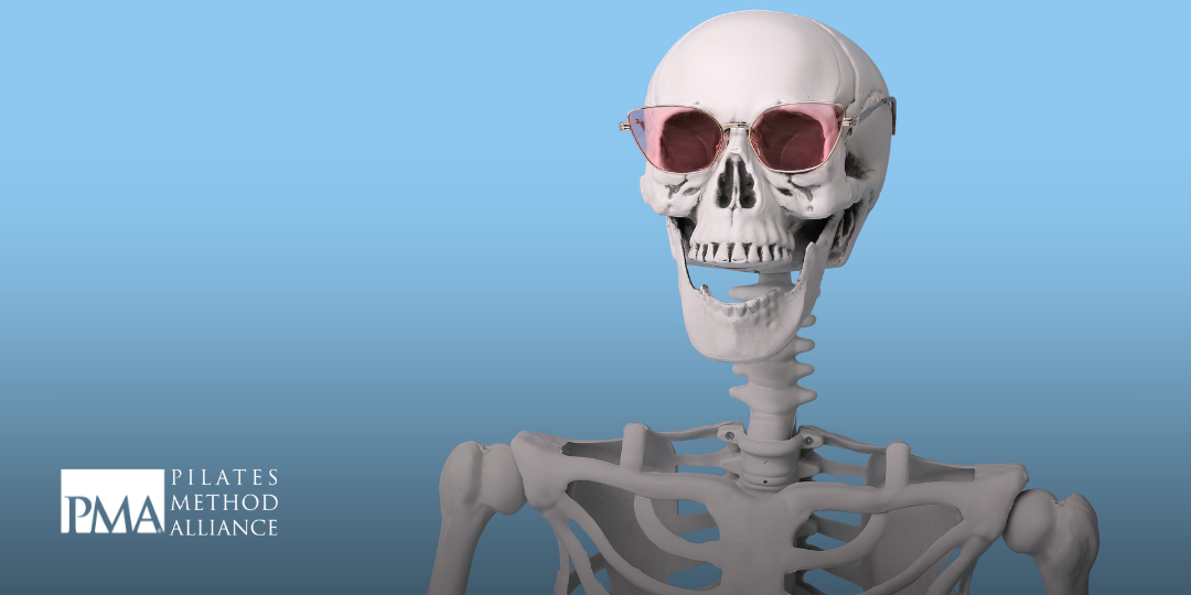 Pilates Method Alliance Blog - Evolutionary Biology of the Skeleton: This article features a review of the relationship between form and function in nature, hydrostatic skeletons, how they work and how they are used in vertebrates, fascia and its rel