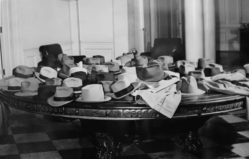 THE POLITICS SHED visual data 5