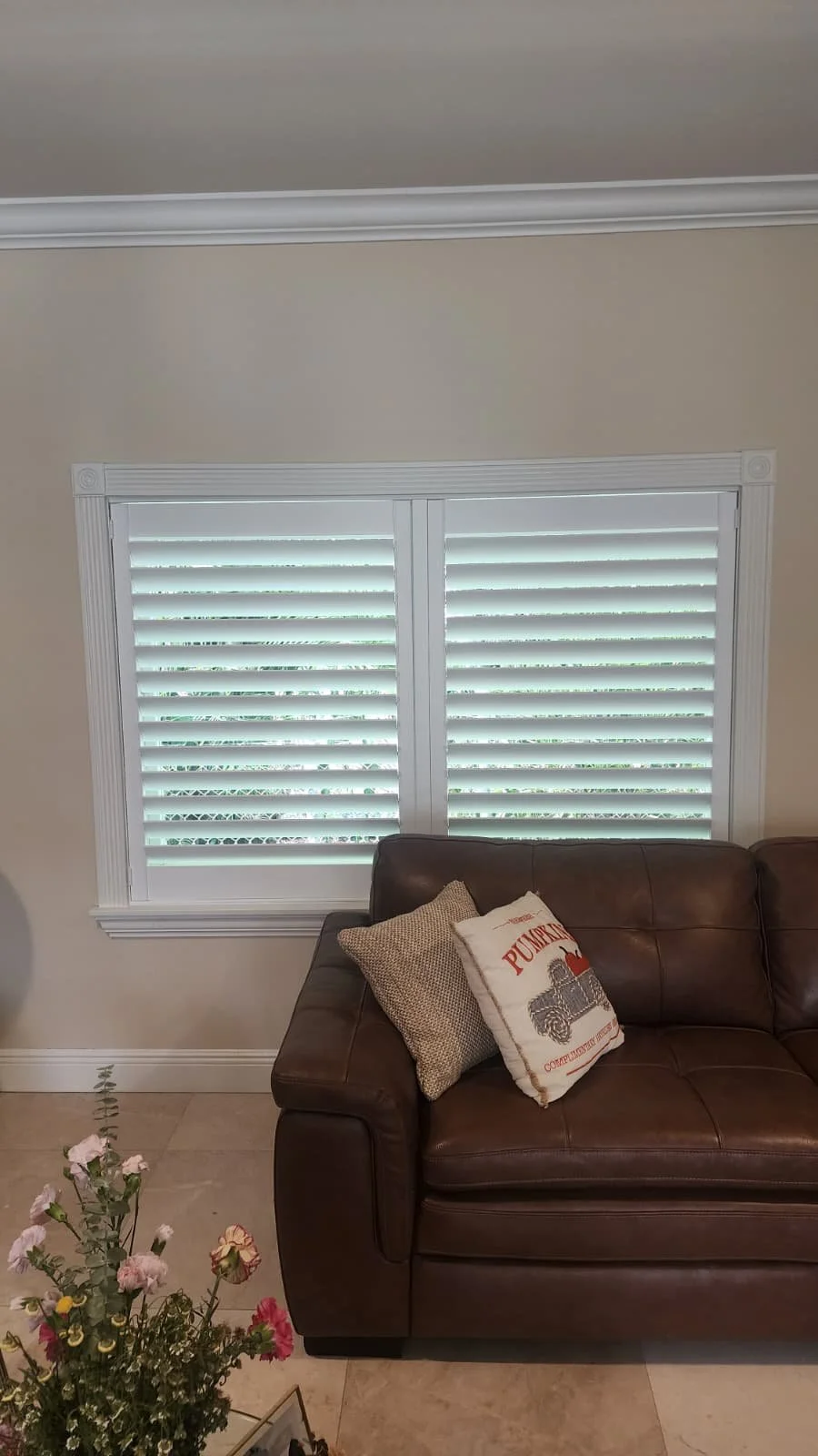 WhatsApp Image 2026-02-08 at 5.55.17 PM.jpeg