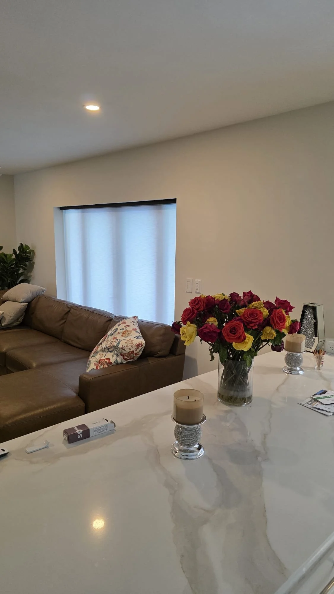 WhatsApp Image 2026-02-06 at 10.29.26 PM (2).jpeg