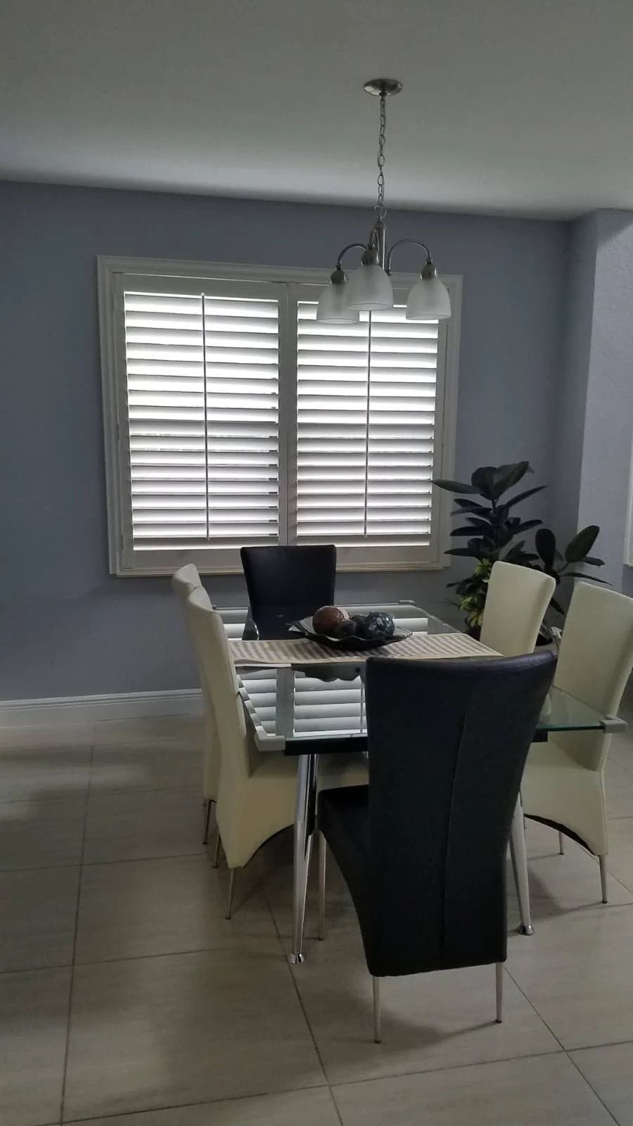 WhatsApp Image 2026-02-08 at 6.04.44 PM (1).jpeg