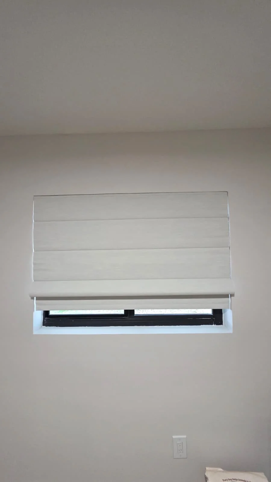 WhatsApp Image 2026-02-08 at 2.13.34 PM (2).jpeg