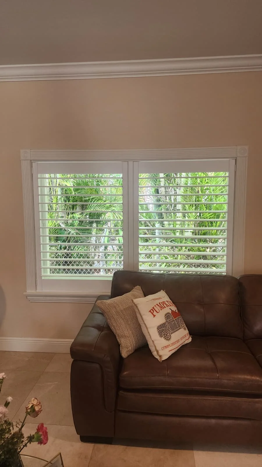 WhatsApp Image 2026-02-08 at 5.55.16 PM (1).jpeg