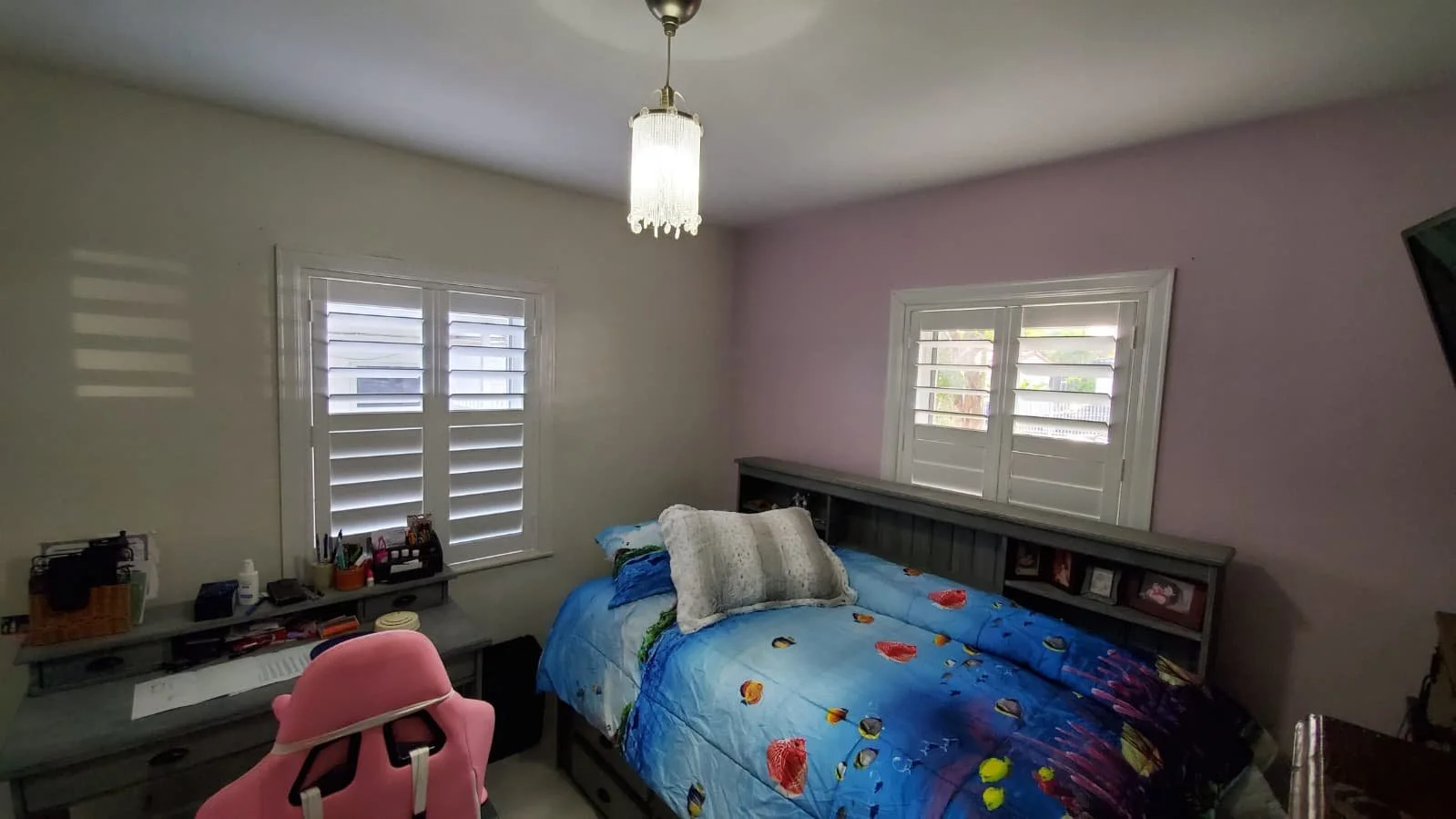 WhatsApp Image 2026-02-08 at 6.04.43 PM (1).jpeg