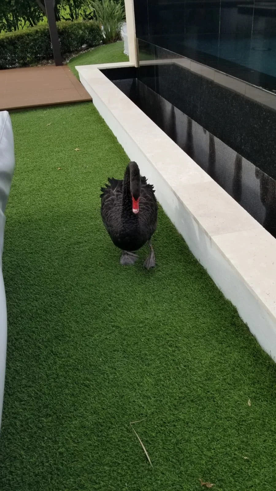 WhatsApp Image 2026-02-16 at 3.16.06 PM (2).jpeg