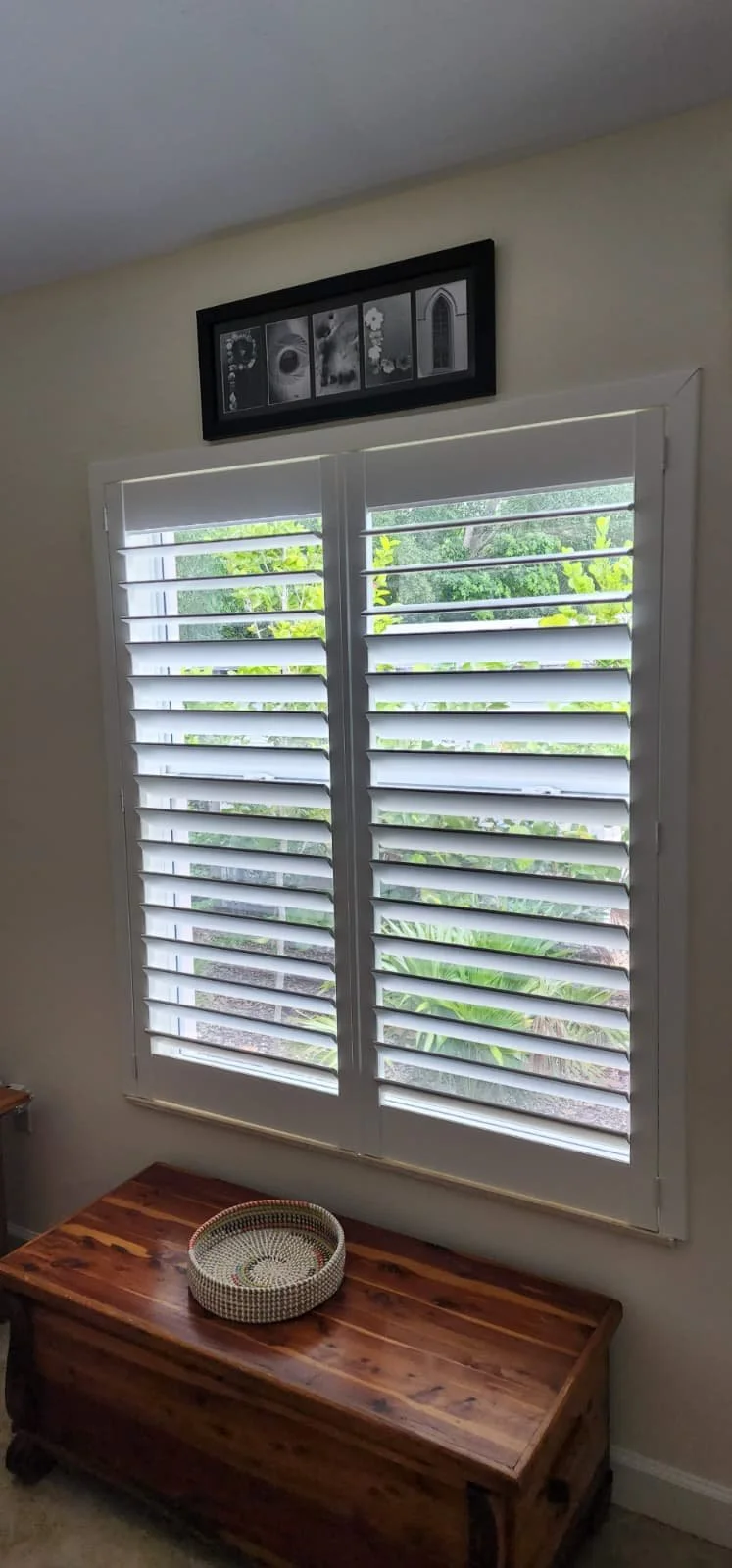 WhatsApp Image 2026-02-08 at 7.10.45 PM.jpeg