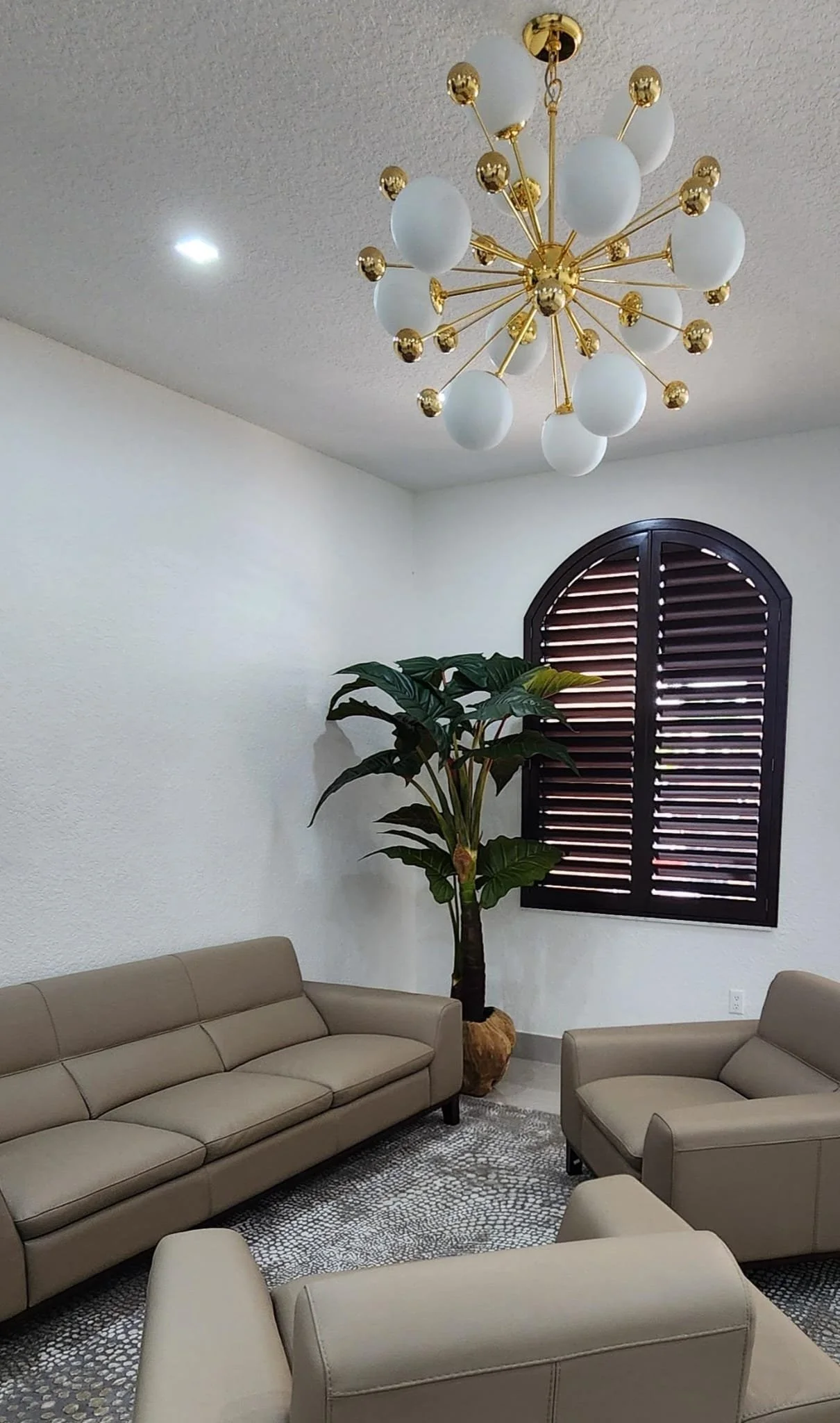 WhatsApp Image 2026-02-08 at 7.07.33 PM (4).jpeg