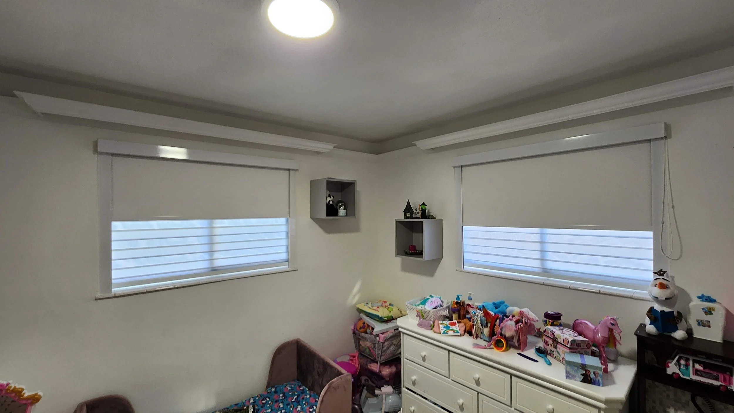 Zebras with blackouts roller shades on front
