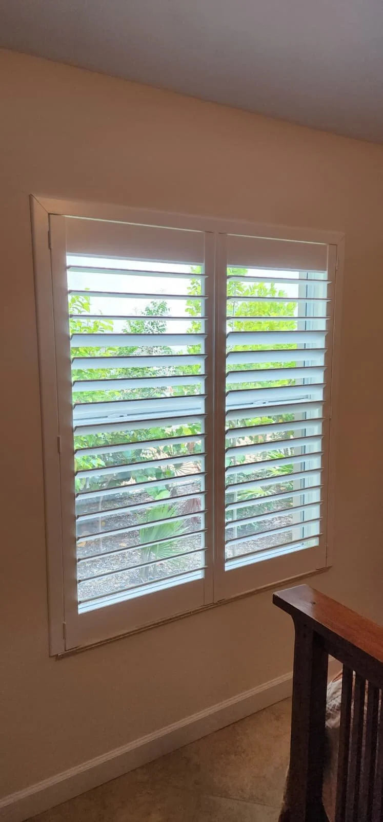 WhatsApp Image 2026-02-08 at 7.10.45 PM (1).jpeg