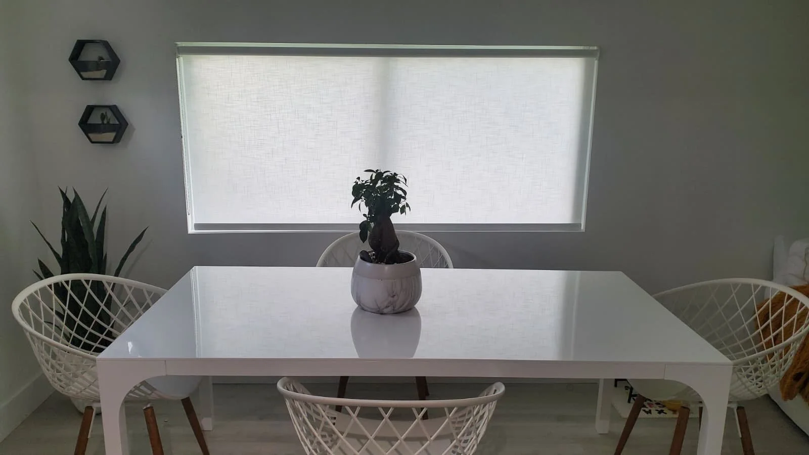 WhatsApp Image 2026-02-06 at 10.07.02 PM (2).jpeg