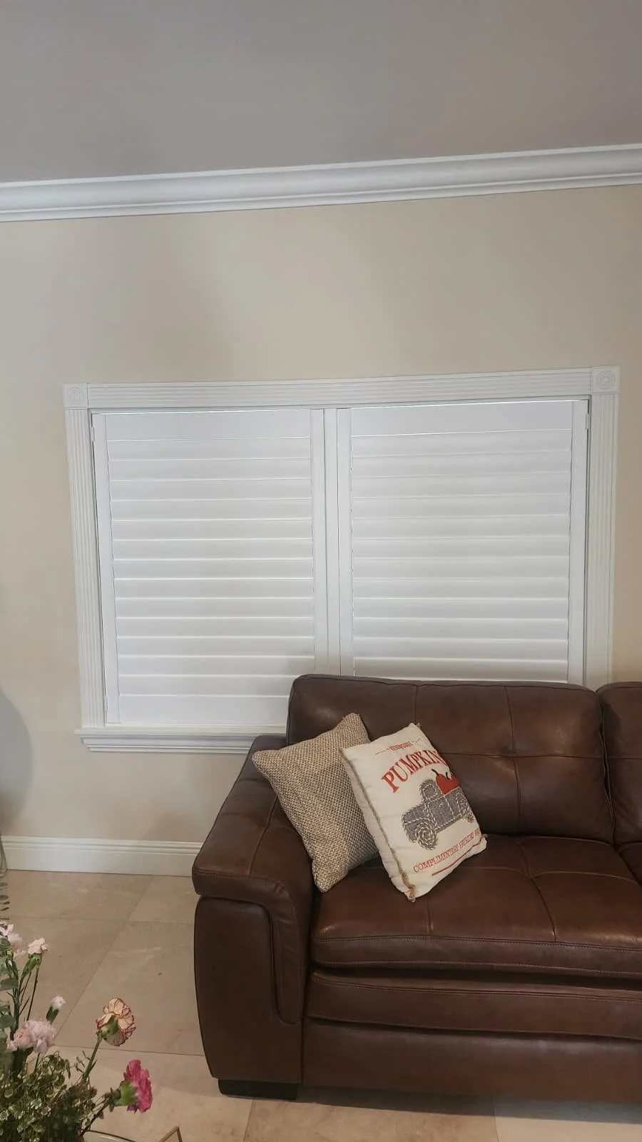 WhatsApp Image 2026-02-08 at 5.55.16 PM.jpeg