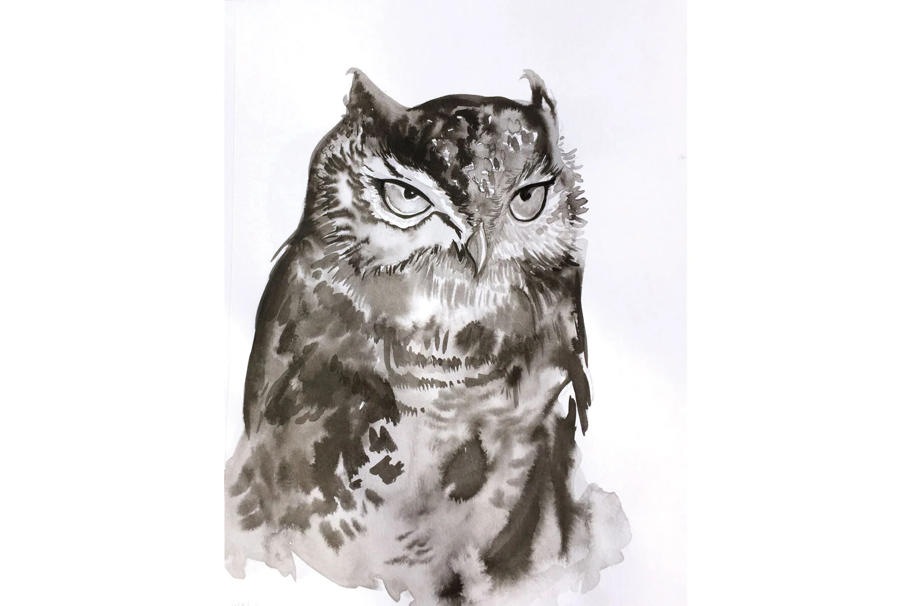owl_wc_shop.jpg