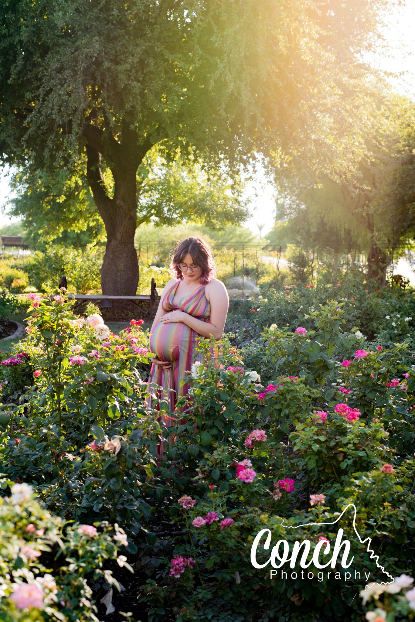 Rose Garden Maternity Photography