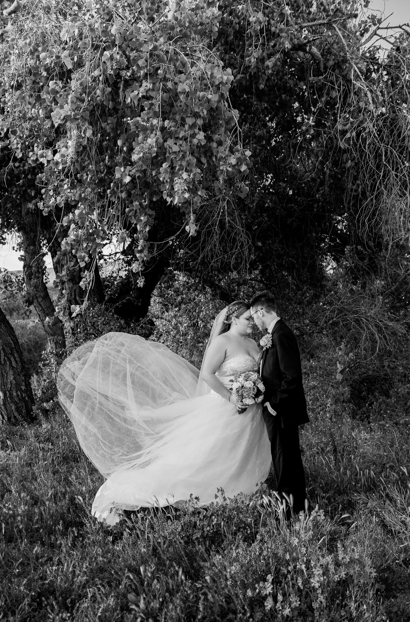 Globe_Arizona_Intimate-Ceremony_Wedding-Photography-Photographer_spring_desert-045.jpg