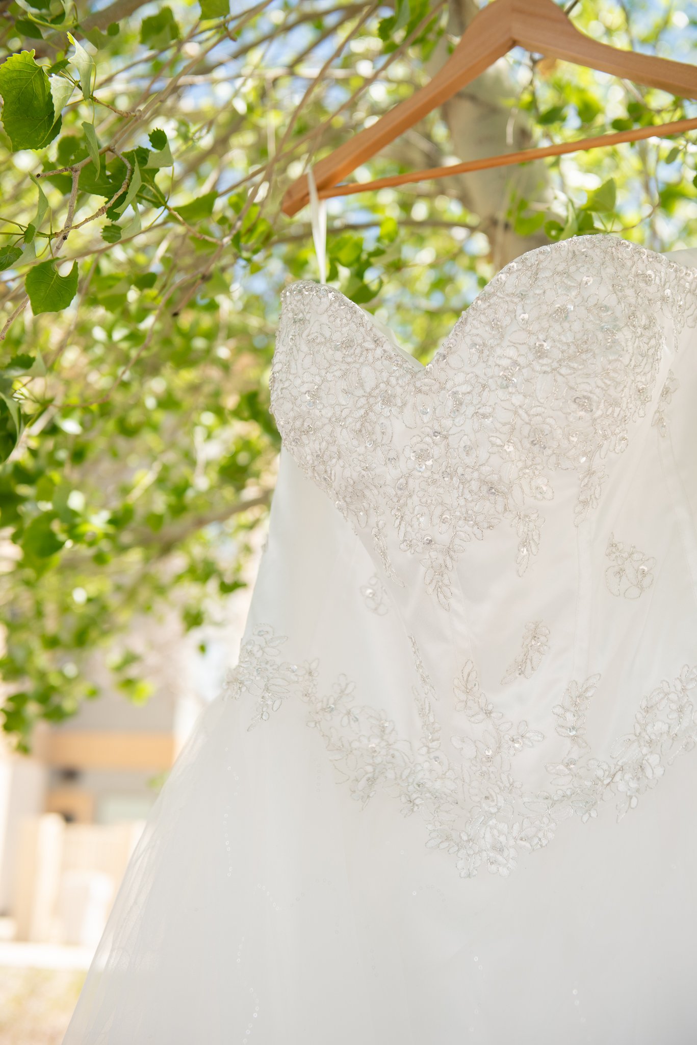 Globe_Arizona_Intimate-Ceremony_Wedding-Photography-Photographer_spring_desert-112.jpg