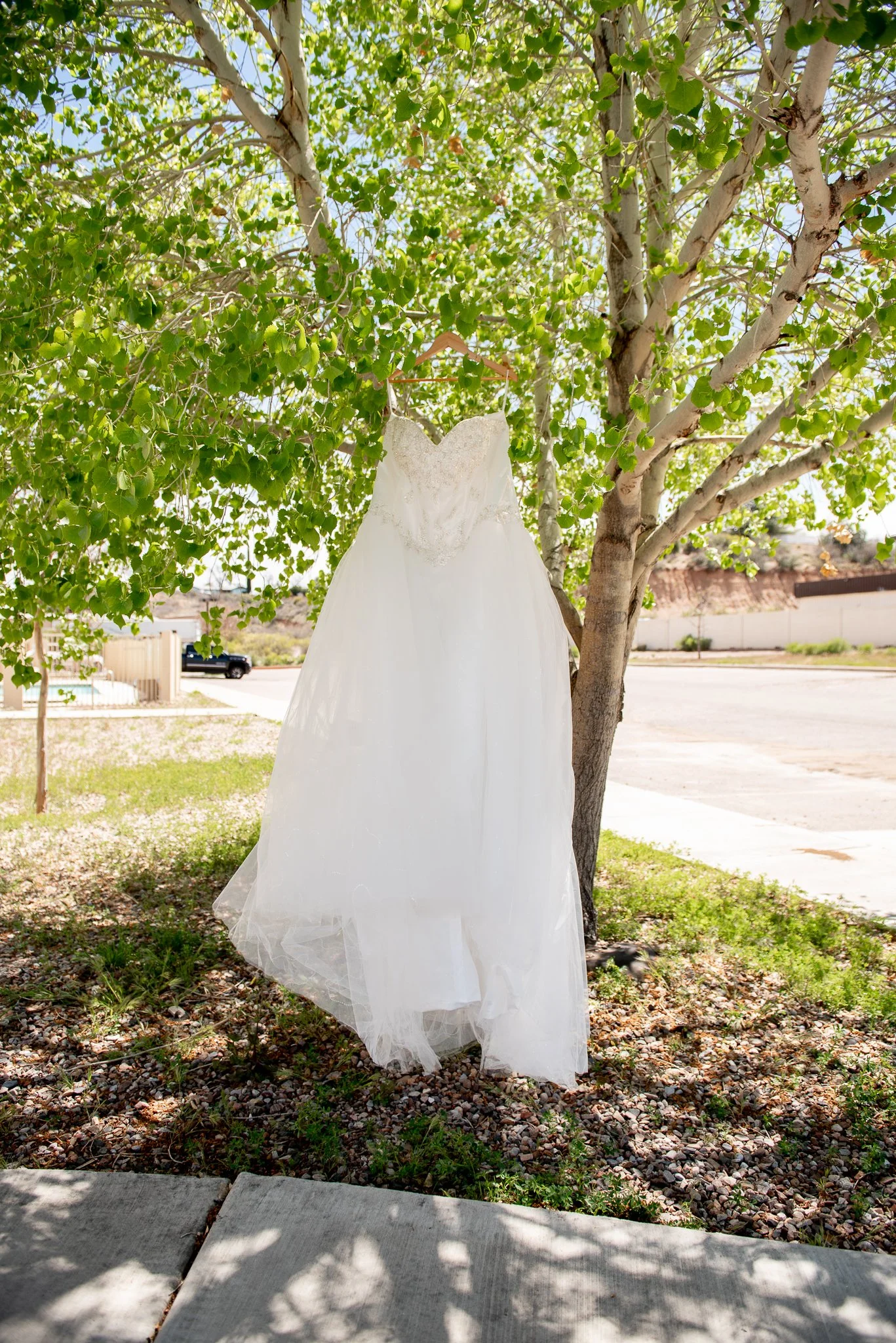 Globe_Arizona_Intimate-Ceremony_Wedding-Photography-Photographer_spring_desert-114.jpg