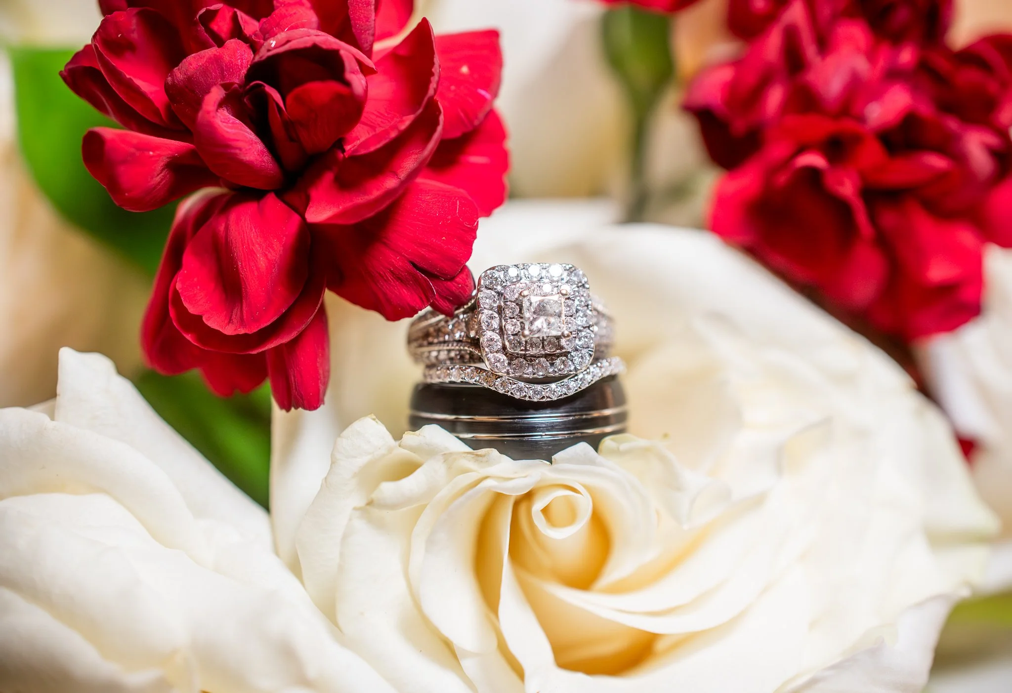 Secret-Garden-by-Wedgewood-Weddings_Phoenix-Arizona_Venue_Lush_Green_Photographer_Photography-122.jpg