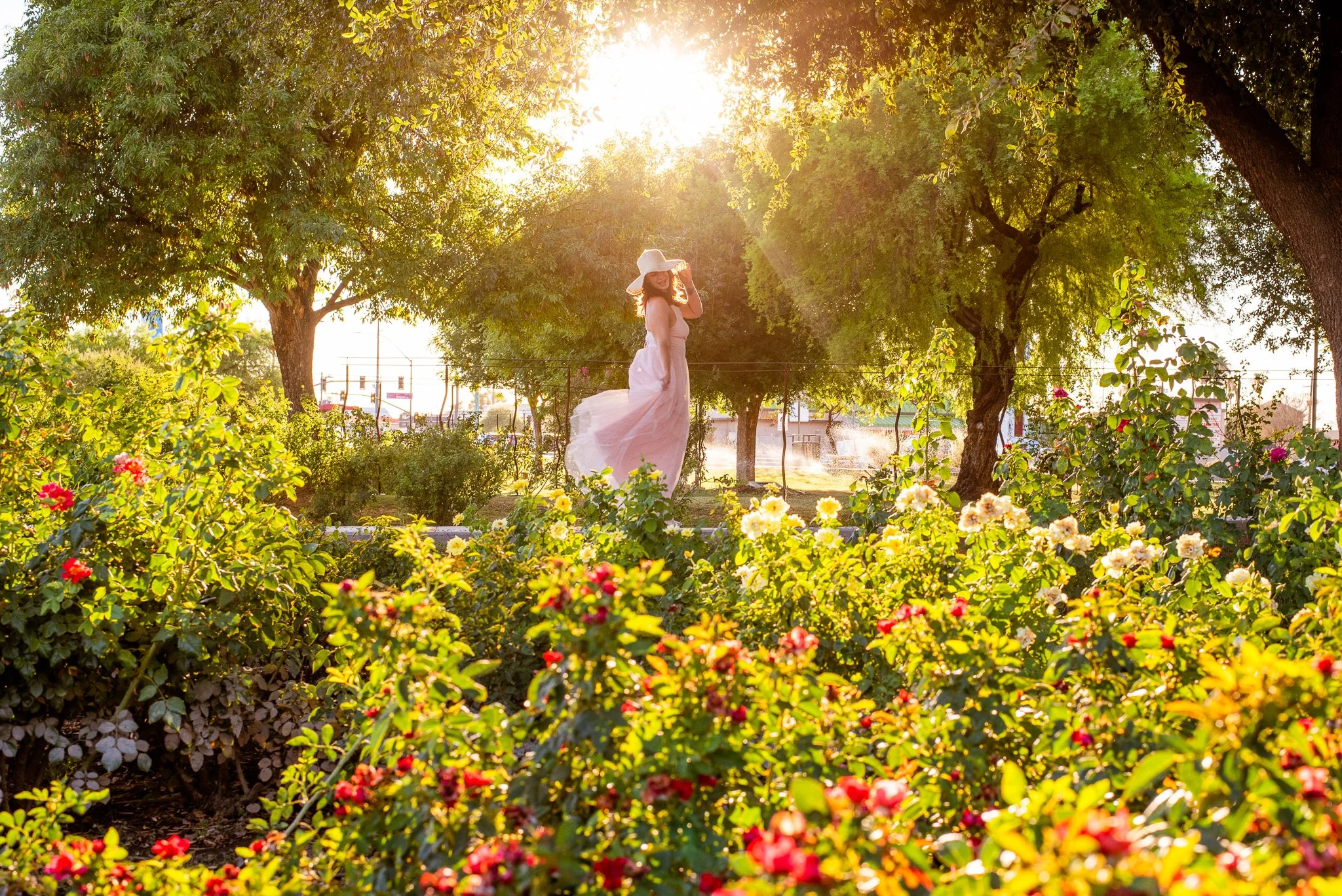Beautiful Arizona model wears flowy pink dress and sun hat amongst the blooming rose garden with a glowy golden hour sunset behind her at the MCC Rose Garden in Mesa, Arizona
